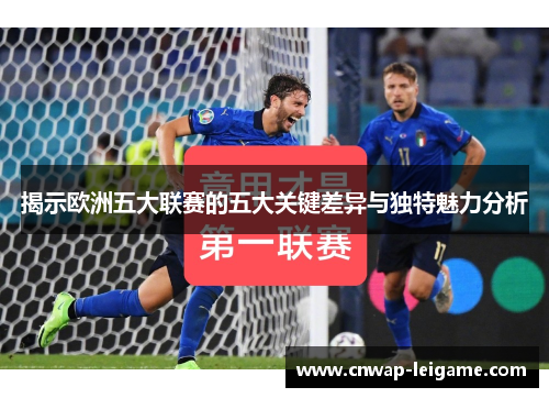 揭示欧洲五大联赛的五大关键差异与独特魅力分析