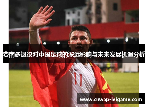 费南多退役对中国足球的深远影响与未来发展机遇分析 费南多退役对中国足球的深远影响与未来发展机遇分析