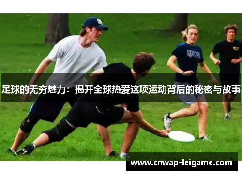 足球的无穷魅力：揭开全球热爱这项运动背后的秘密与故事