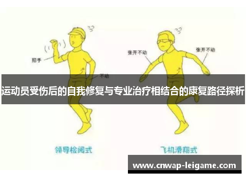 运动员受伤后的自我修复与专业治疗相结合的康复路径探析 运动员受伤后的自我修复与专业治疗相结合的康复路径探析